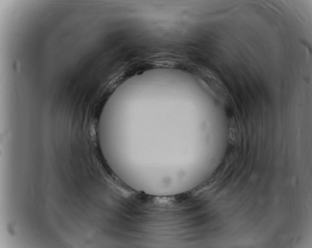 X0000097870573200803140920