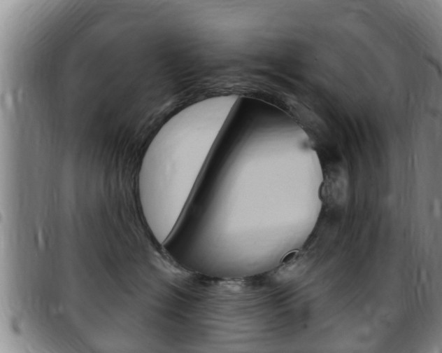 X0000097870574200803140920