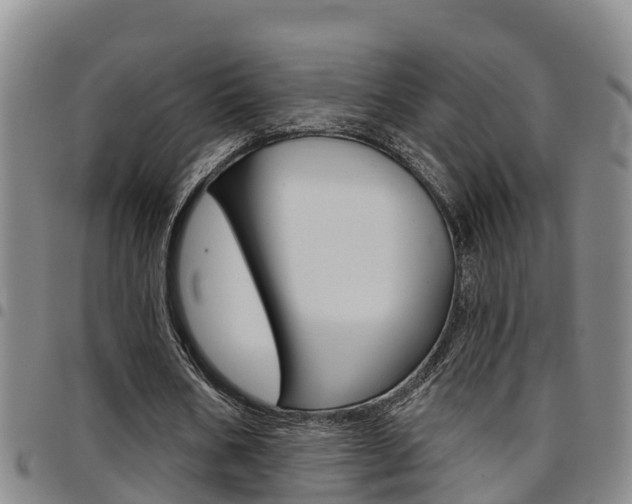 X0000097870578200803140920