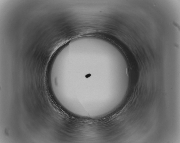 X0000097870579200803140920