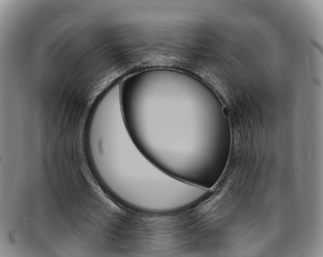 X0000097870581200803140920