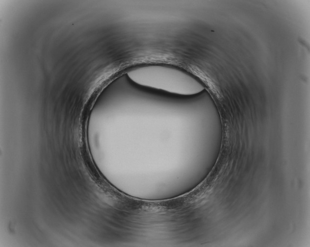 X0000097870582200803140920