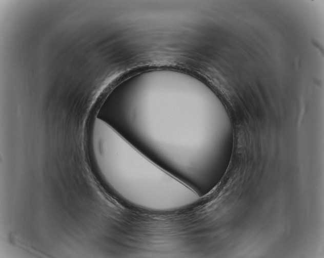 X0000097870584200803140920