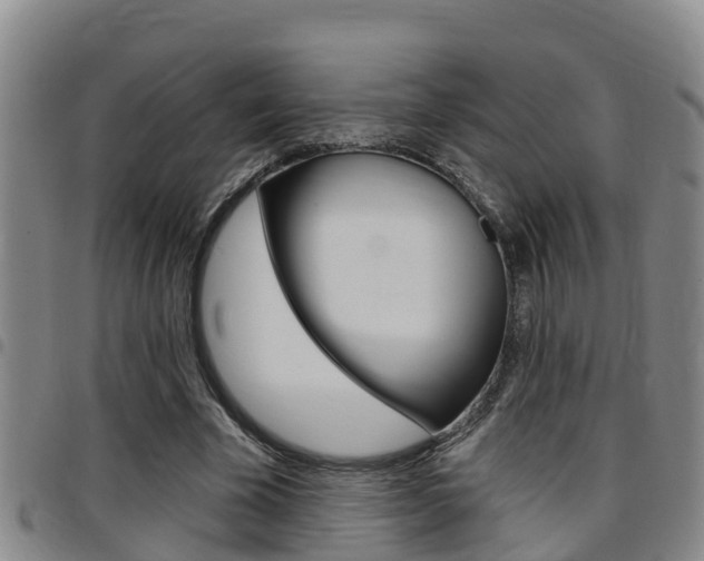 X0000097870585200803140920