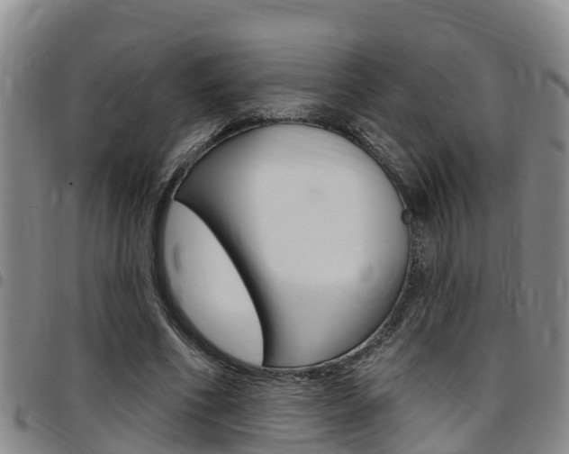 X0000097870586200803140920