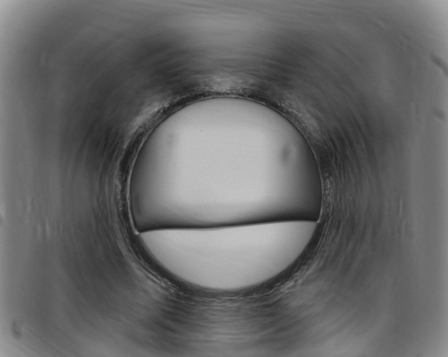 X0000097870587200803140920