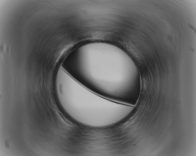 X0000097870588200803140920