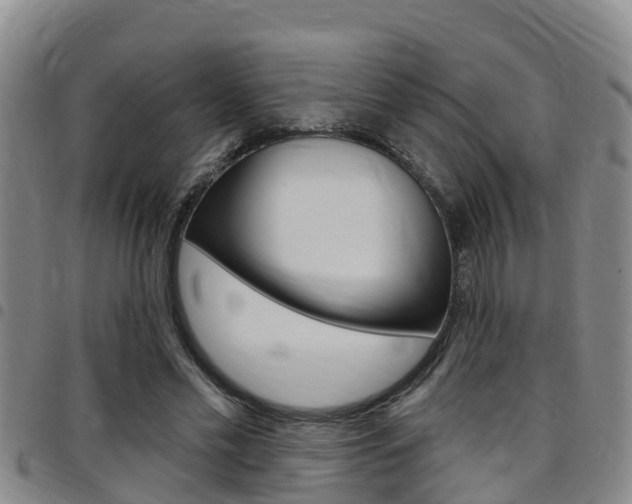 X0000097870589200803140920