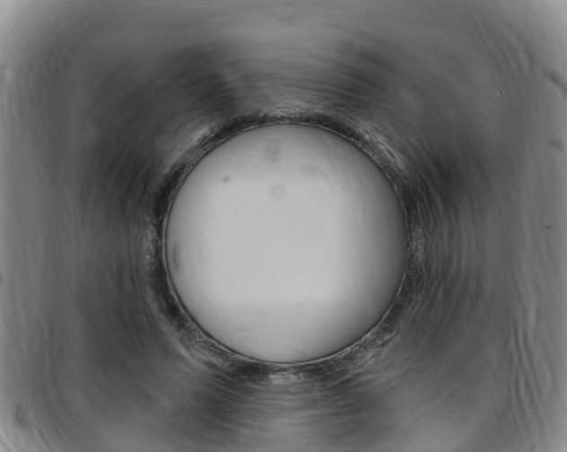 X0000097870591200803140920