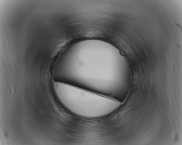 X0000097870592200803140920