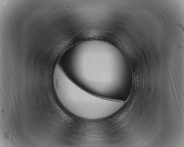 X0000097870593200803140920