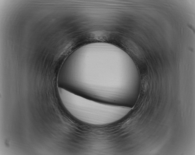 X0000097870595200803140920