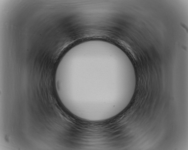 X0000097870596200803140920