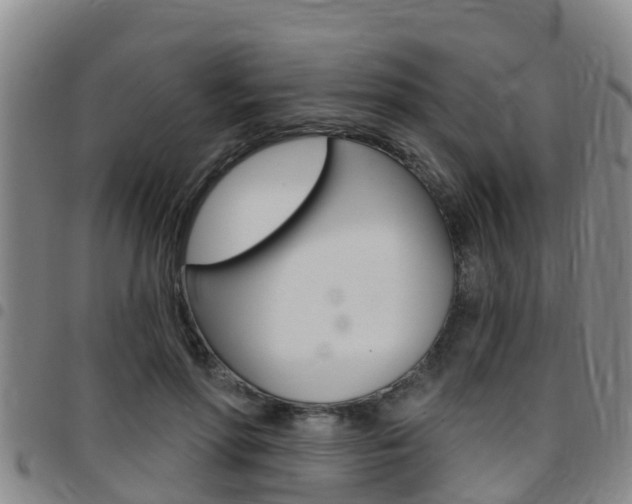 X0000097870598200803140920