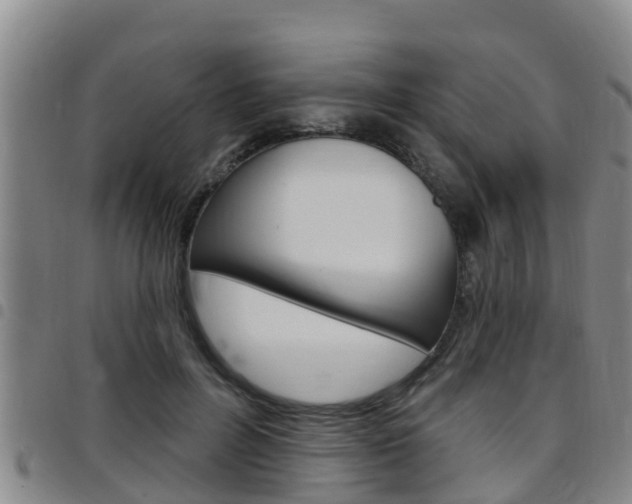 X0000097870600200803140920