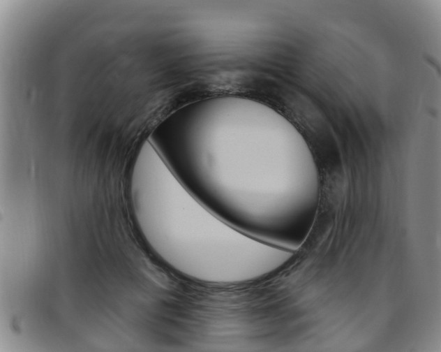 X0000097870601200803140920