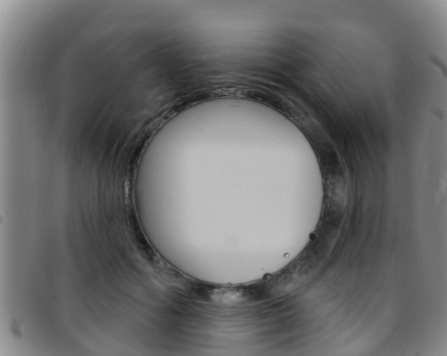 X0000097870602200803140920