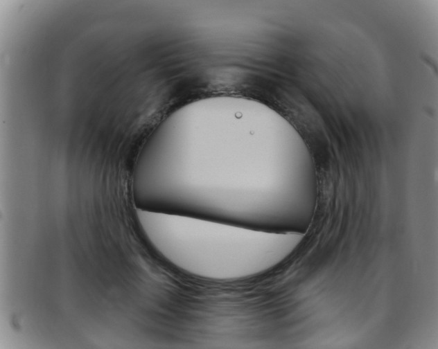 X0000097870603200803140920