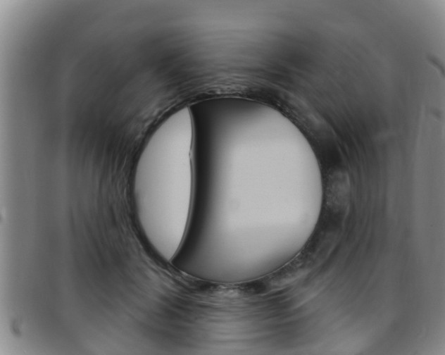 X0000097870604200803140920