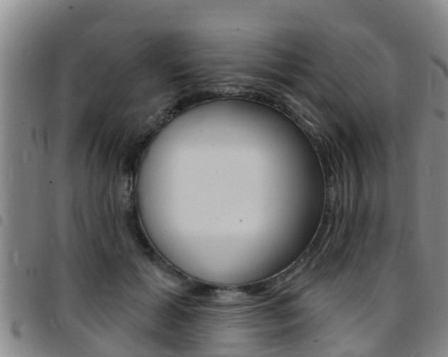 X0000097870605200803140919