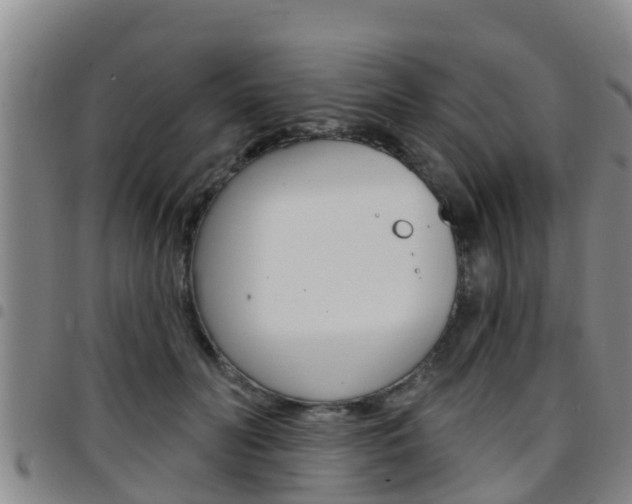 X0000097870606200803140919