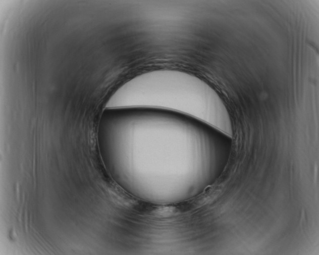 X0000097870609200803140919