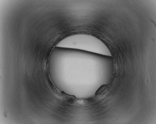 X0000097870611200803140919