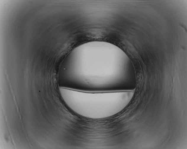 X0000097870612200803140919