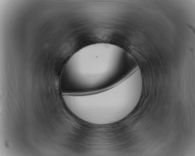 X0000097870613200803140919
