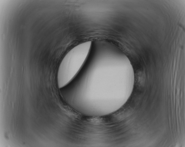 X0000097870615200803140919