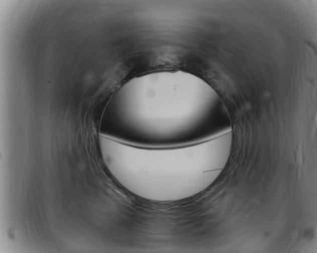 X0000097870617200803140919