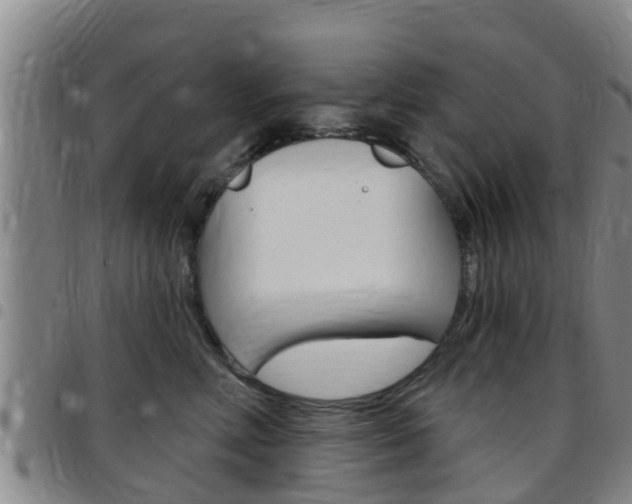 X0000097870618200803140919