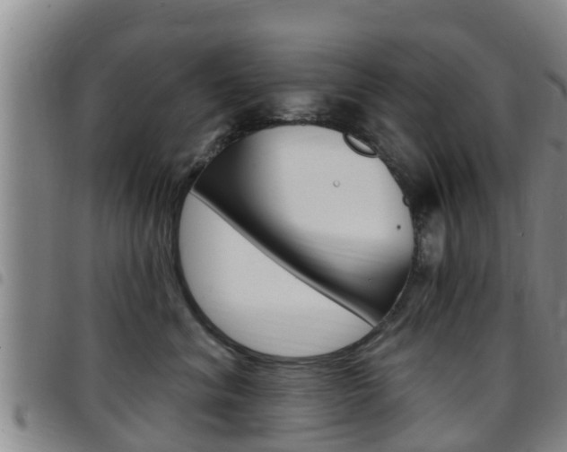 X0000097870620200803140919