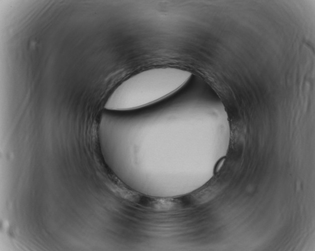 X0000097870623200803140919
