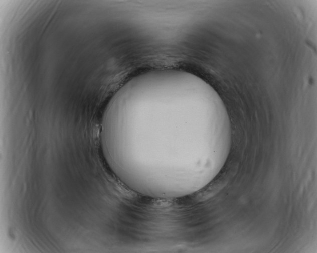 X0000097870624200803140919