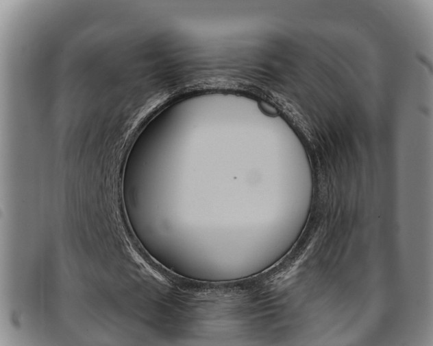 X0000097870625200803140918