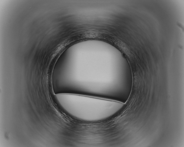 X0000097870626200803140918