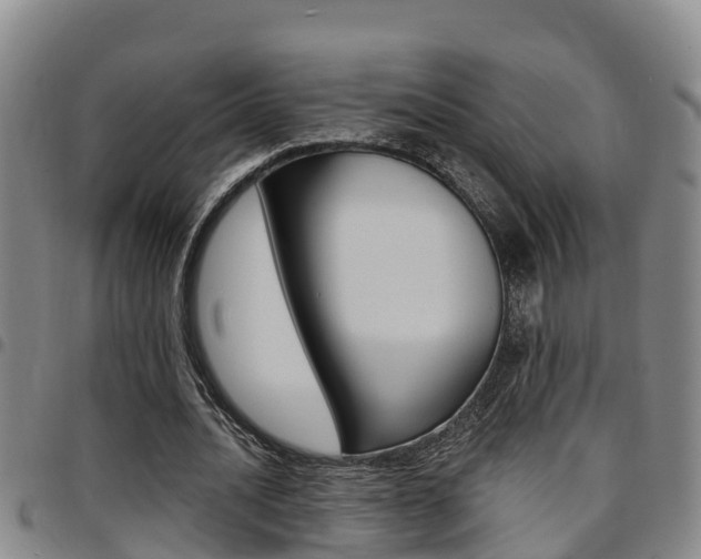 X0000097870628200803140918
