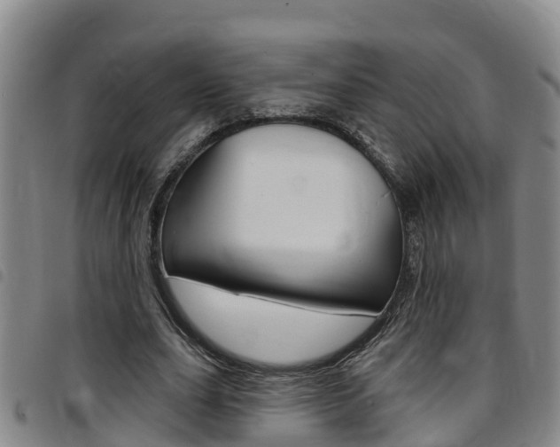 X0000097870631200803140918