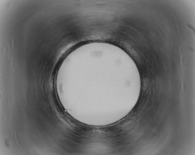 X0000097870632200803140919