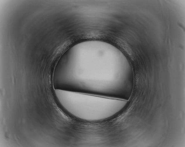 X0000097870633200803140919