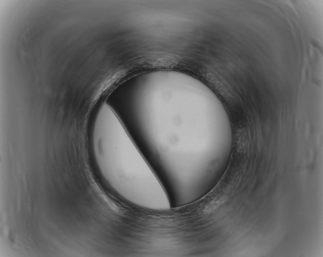 X0000097870634200803140919