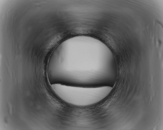 X0000097870635200803140919