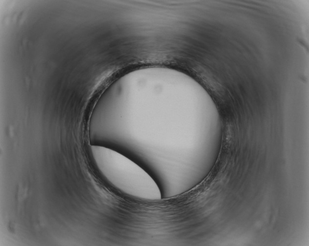 X0000097870636200803140919