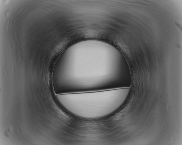 X0000097870637200803140919