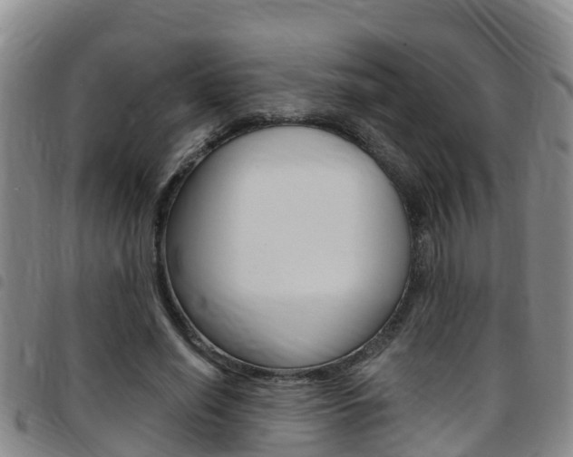 X0000097870638200803140919