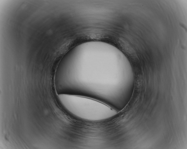X0000097870639200803140919