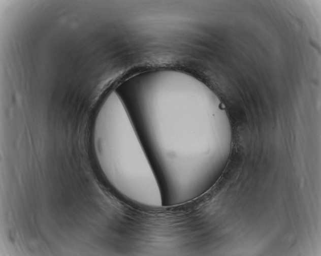 X0000097870640200803140919