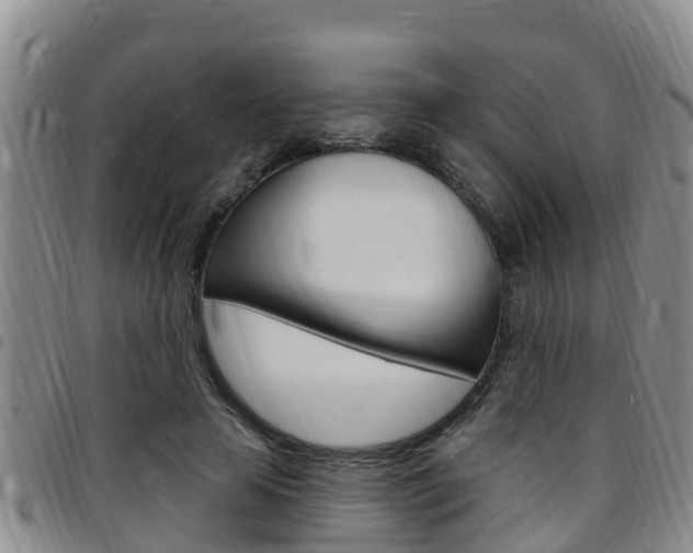 X0000097870641200803140919