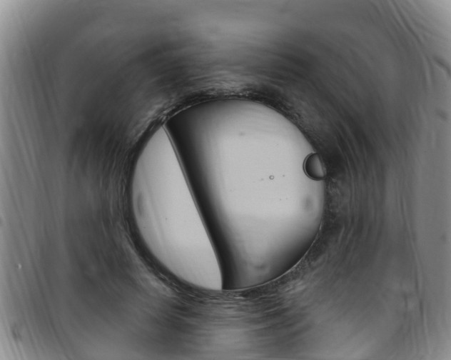 X0000097870642200803140919
